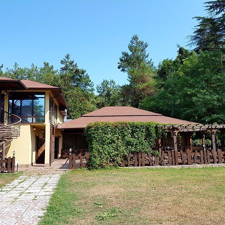 Guest House Black Sea Pizunda Exterior photo